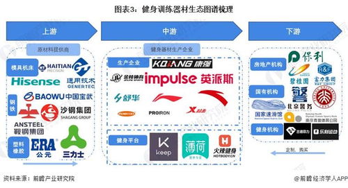 預見2024 中國健身訓練器材行業全景圖譜與AI賦能新浪潮