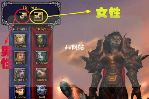dnf網站